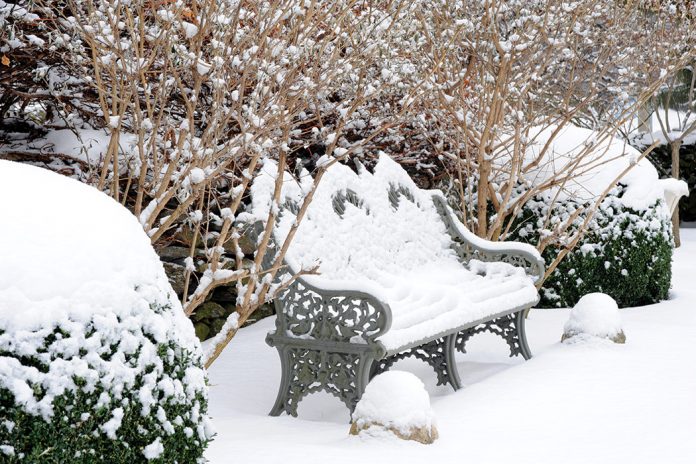 Snowy Garden Bench