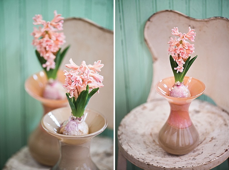 Hyacinths When You Need Them | The Cottage Journal 