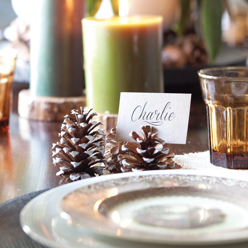 Nature-Inspired Place Setting 