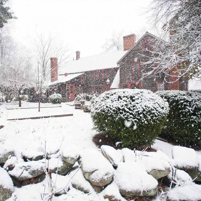 snow covered garden and home