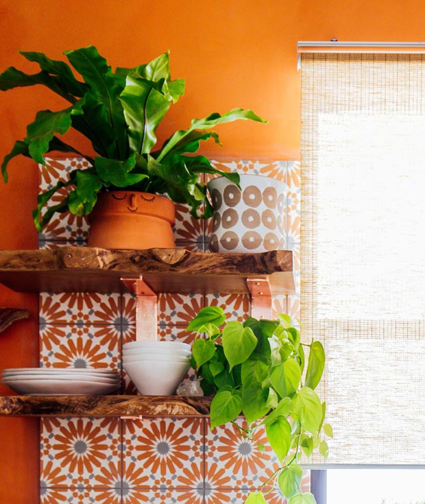 boho kitchen and indoor plants