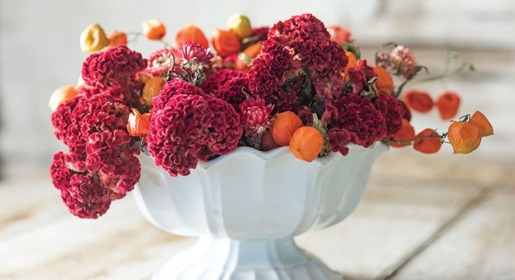 Your Complete How To For Drying Flowers This Fall Cottage Journal