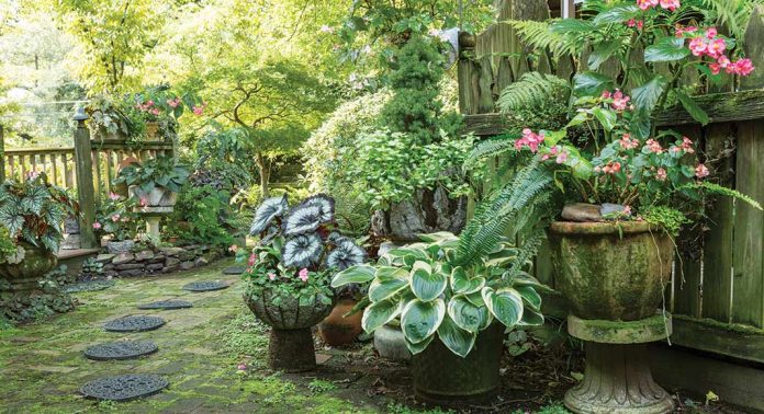 Have A Full Shade Yard This Garden Is, Cottage Garden Plants That Like Shade