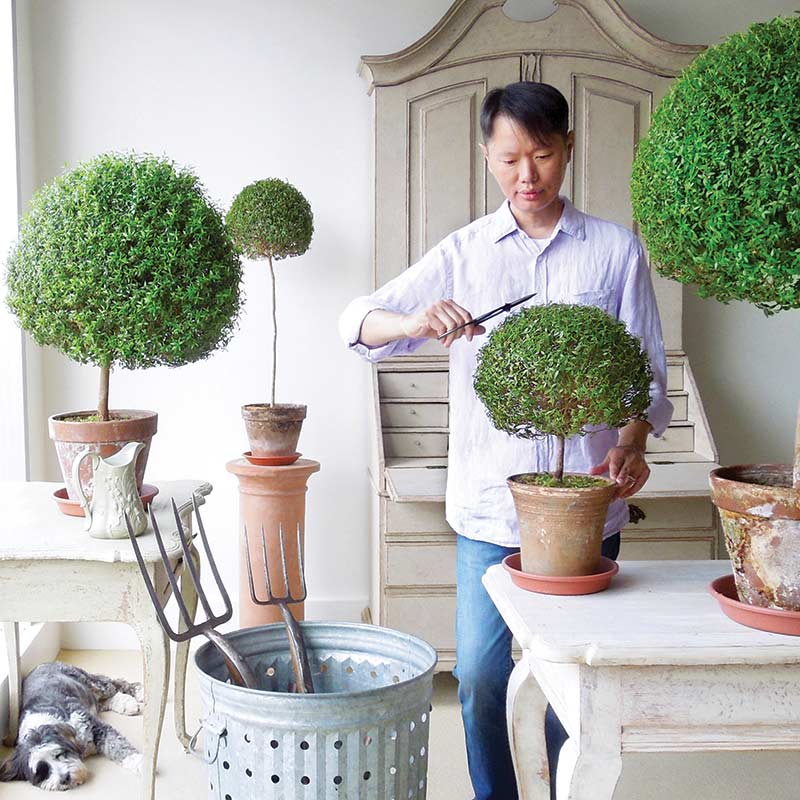 Loi Thai trimming his topiary.