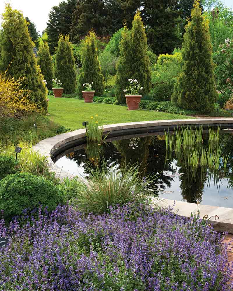 A floral bed of lavender next to a pond. 