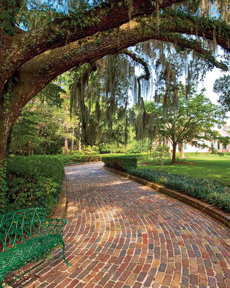 A brick pathway lined with trees in Tallahassee, FL. 