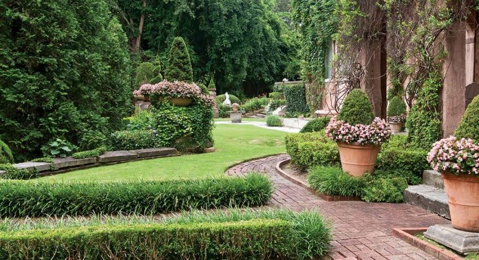 A boxwood-lined path in a garden.