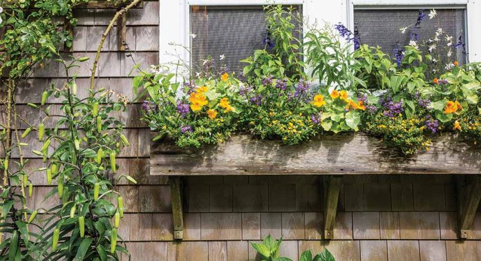 A rustic-style window box with yellow and green flowers.