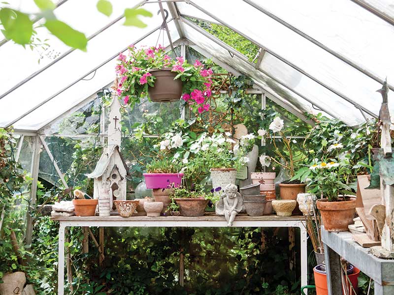 A table filled with flower pots in a greenhouse.