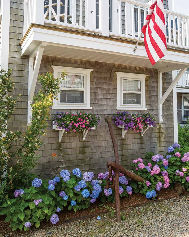 An exterior with window boxes above hydrangea plants.