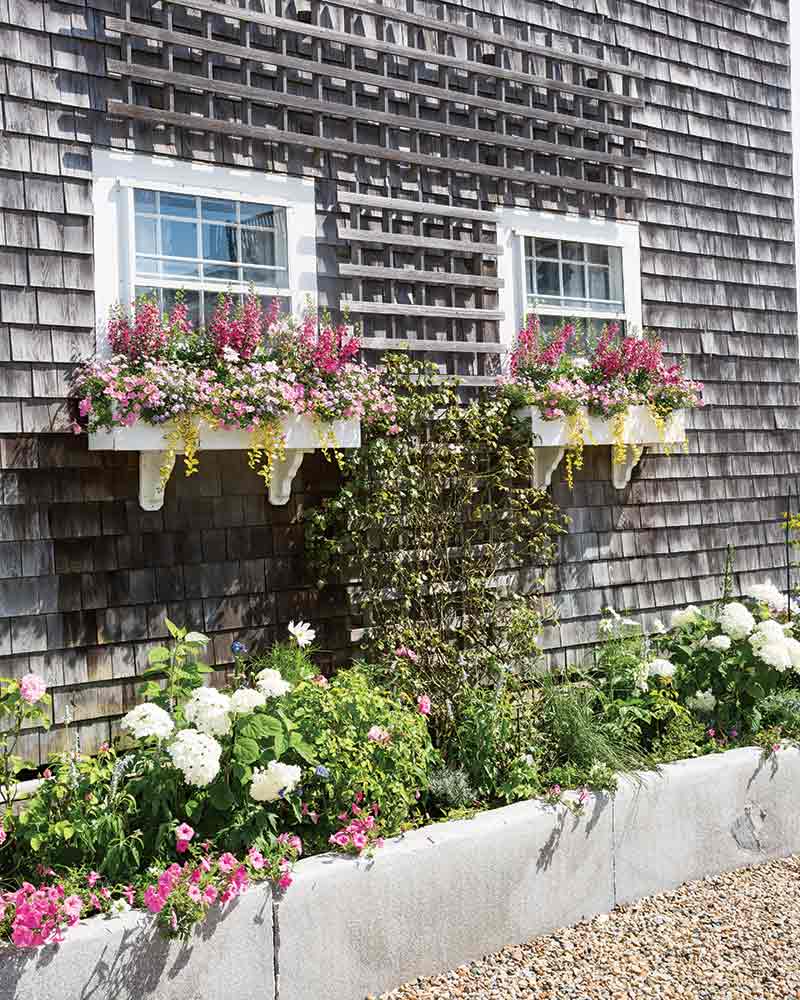 Window boxes filled with pink flowers. 