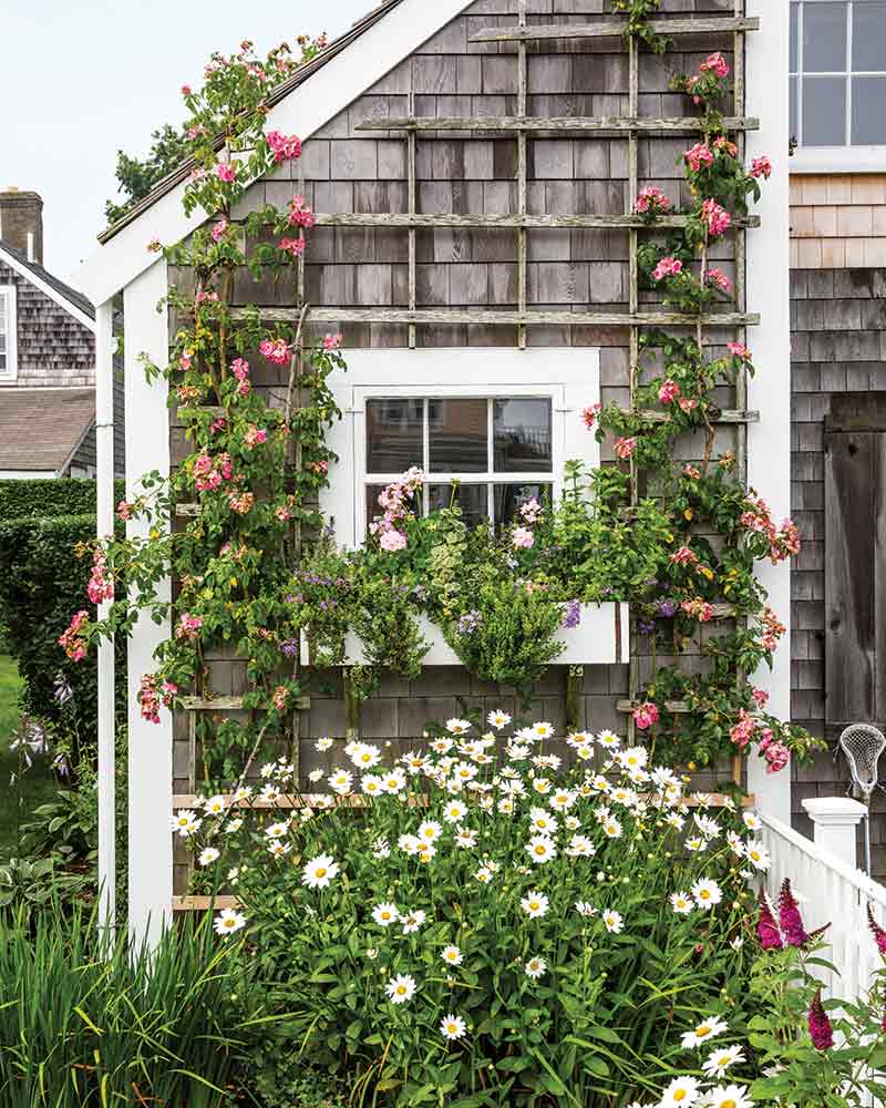 A window box flanked by trellises with climbing roses. 