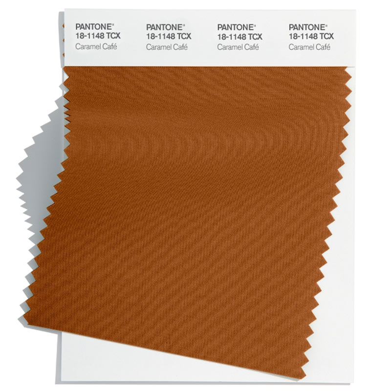 Pantone color swatch in Caramel Cafe.