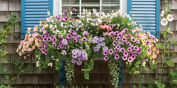 6 Ways to Enjoy Spring’s Bright Blooms at Home
