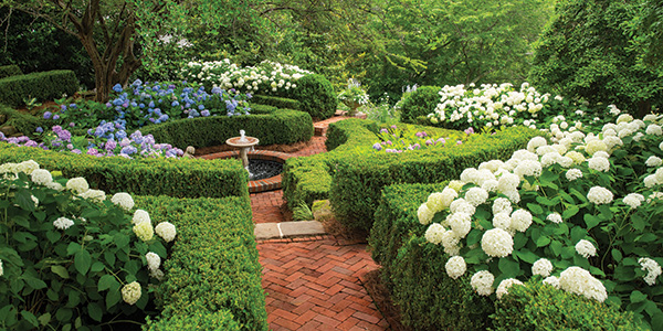 Take a Tour of This Hydrangea-Filled Hideaway